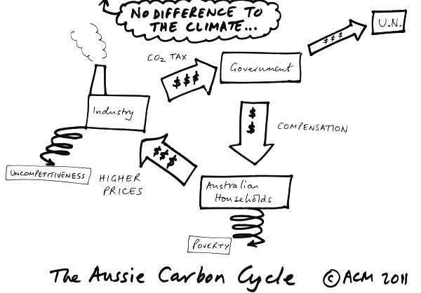 carbon_cycle11